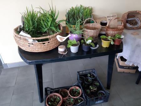 Zelemenjava OŠ Šentjanž pri Dravogradu1